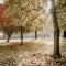 Caplor Glamping & Lodges