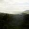 SELVA by DW