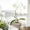 Rocklands Seaside Bed and Breakfast