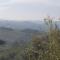 Charming 2.5Room Flat in Center of Monforte dAlba