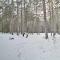 Secluded Vanderbilt Cabin, 9 Mi to Treetops! - Vanderbilt