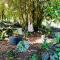 Quinta Pereirinha Farm - A Private 3 Bedroom Vacation Home, Close to Hiking w Ocean Views - Pico Island, Azores