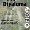 Happy Feet Diyaluma