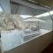 Al shalal caravan