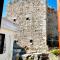 Mustafa Tokalaç Castle house