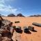 Wadi Rum Old Bedouin Camp