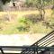Sunshine Homestay