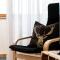 Faschina Apartment - Top 1