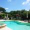 Santolines en Provence