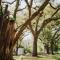 The Myrtles The Myrtles