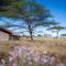 Mawe Tented Camp - 塞伦盖蒂