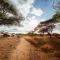 Baobab Tented Camp - Kwa Kuchinia