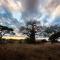 Baobab Tented Camp - Kwa Kuchinia