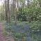 Warwick House, 5 bedrooms, 9 beds, parking, garden