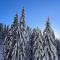 Apartman 16 Pancic - Kopaonik