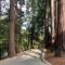 Stunning Guest House Nestled within the Redwoods - كورتي ماديرا