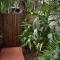Oskars Rain Forest Retreat