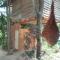 Angry Birds Tree house