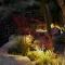 Inspire Santorini Luxury Villas - Fira