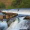 La Salmonera Cangas de Onís - Caño