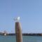 Red Tower Venice - 2 mins from VCE Airport- free Wifi