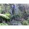 Hachijojima Hotel Resort Sea Pillows - Vacation STAY 53315v