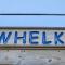 Whelk #22B-CAC - باكستون