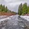 NEW: Steps from White River near Mount Rainier National Park - Greenwater