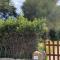 Apartment in Porto Pollo near Surf Paradise
