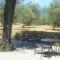 Amedea Tuscany Country Experience