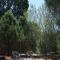 Candlebark Retreat