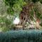 Finca Las Hierbas B&B - Alora