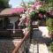 Pasha Suites