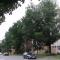 1st Floor Apartman