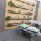The Studio