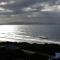The View