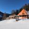 Apartment Ski-In Ski-Out Mountain Duplex Portášky2 by Interhome - Pec pod Sněžkou