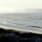 The View