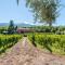 Terrazze dell’Etna - Country rooms and apartments