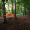 Camping Future Is Nature Playground