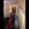 Family Cabin Unit 7