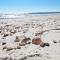 Romar Tower 7C - Orange Beach
