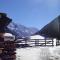 Apart Alpinea - Sankt Leonhard im Pitztal