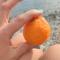 Fantastic 4 Cyprus First Line Beachfront
