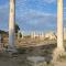 Fantastic 4 Cyprus First Line Beachfront