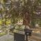 Cozy Studio Near Hiking and Skiing, Walk to Downtown - 沙斯塔山