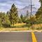 Cozy Studio Near Hiking and Skiing, Walk to Downtown - 沙斯塔山