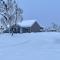Lazy Moose Cottage in Willow, HotTub & Privacy - Willow