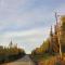 Lazy Moose Cottage in Willow, HotTub & Privacy - Willow