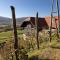 Foto: Vineyard cottage Ludvikov hram